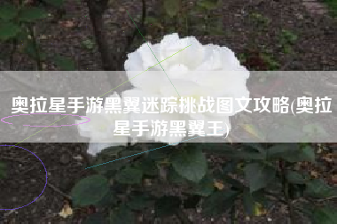奥拉星手游黑翼迷踪挑战图文攻略(奥拉星手游黑翼王)