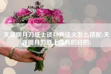 天涯明月刀纸上谈兵兵法火怎么搭配(天涯明月刀纸上谈兵的目的)