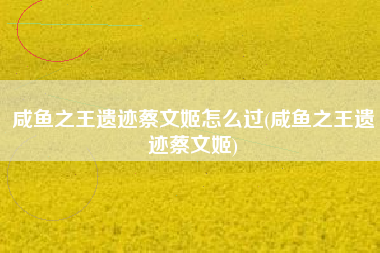 咸鱼之王遗迹蔡文姬怎么过(咸鱼之王遗迹蔡文姬)
