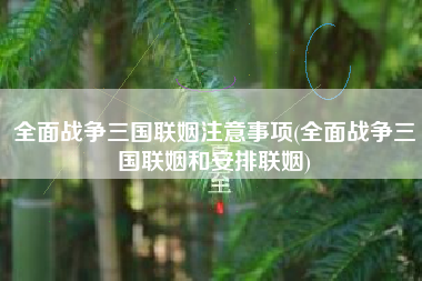 全面战争三国联姻注意事项(全面战争三国联姻和安排联姻)