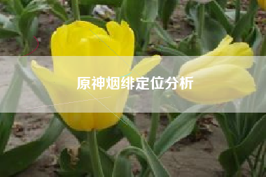 原神烟绯定位分析