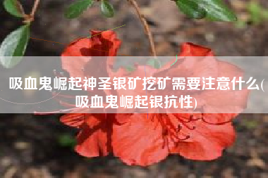吸血鬼崛起神圣银矿挖矿需要注意什么(吸血鬼崛起银抗性)