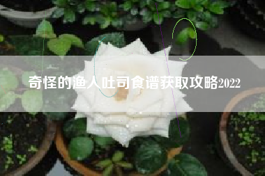 奇怪的渔人吐司食谱获取攻略2022