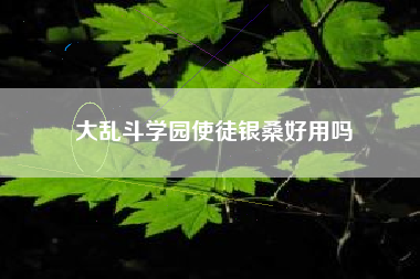 大乱斗学园使徒银桑好用吗