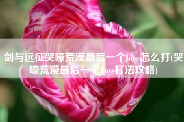 剑与远征哭嚎荒漠最后一个boss怎么打(哭嚎荒漠最后一个boss打法攻略)