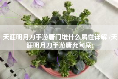 天涯明月刀手游唐门堆什么属性详解 (天涯明月刀手游唐允旬案)