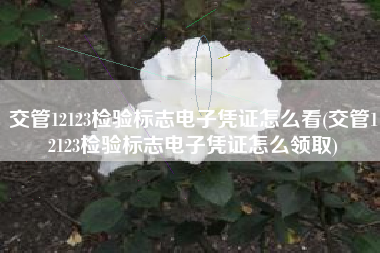 交管12123检验标志电子凭证怎么看(交管12123检验标志电子凭证怎么领取)