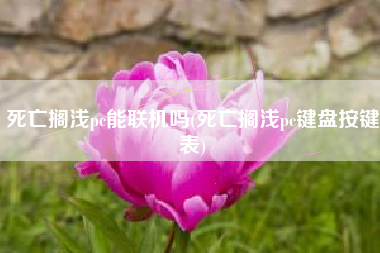 死亡搁浅pc能联机吗(死亡搁浅pc键盘按键表)