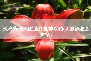 孤岛先锋天赋选择推荐攻略(天赋该怎么选择())
