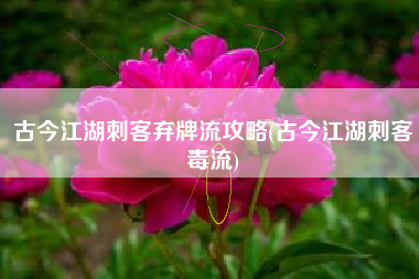 古今江湖刺客弃牌流攻略(古今江湖刺客毒流)