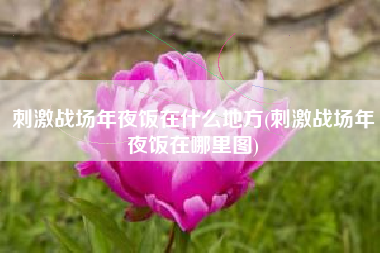 刺激战场年夜饭在什么地方(刺激战场年夜饭在哪里图)