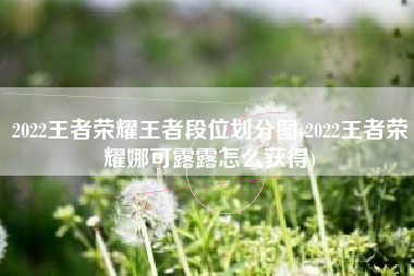 2022王者荣耀王者段位划分图(2022王者荣耀娜可露露怎么获得)