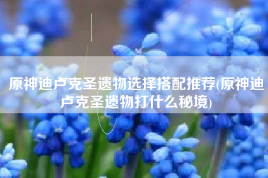 原神迪卢克圣遗物选择搭配推荐(原神迪卢克圣遗物打什么秘境)