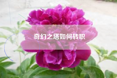 奇幻之塔如何转职