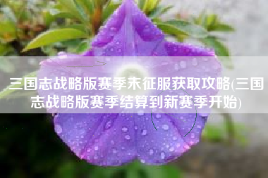 三国志战略版赛季末征服获取攻略(三国志战略版赛季结算到新赛季开始)