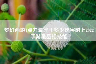 梦幻西游1点力量等于多少伤害附上2022手游龟丞相技能