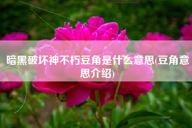 暗黑破坏神不朽豆角是什么意思(豆角意思介绍)
