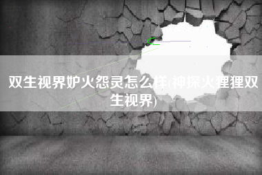 双生视界妒火怨灵怎么样(神探火狸狸双生视界)