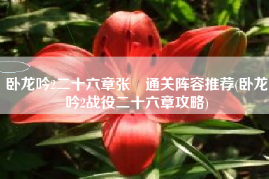 卧龙吟2二十六章张闿通关阵容推荐(卧龙吟2战役二十六章攻略)