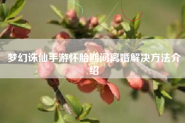 梦幻诛仙手游怀胎期间离婚解决方法介绍