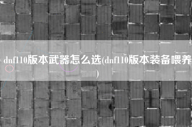 dnf110版本武器怎么选(dnf110版本装备喂养)