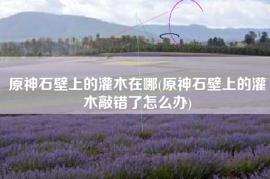原神石壁上的灌木在哪(原神石壁上的灌木敲错了怎么办)