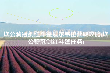 坎公骑冠剑红斗篷埃尔韦拉获取攻略(坎公骑冠剑红斗篷任务)