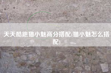 天天酷跑猫小魅高分搭配(猫小魅怎么搭配)