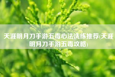 天涯明月刀手游五毒心法洗练推荐(天涯明月刀手游五毒攻略)