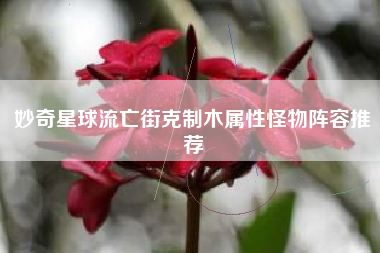 妙奇星球流亡街克制木属性怪物阵容推荐