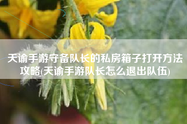 天谕手游守备队长的私房箱子打开方法攻略(天谕手游队长怎么退出队伍)
