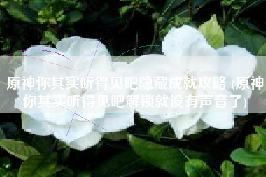 原神你其实听得见吧隐藏成就攻略 (原神你其实听得见吧解锁就没有声音了)