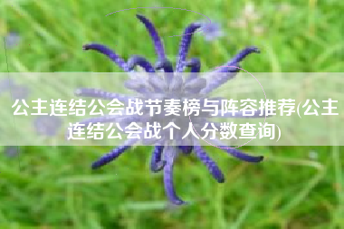 公主连结公会战节奏榜与阵容推荐(公主连结公会战个人分数查询)