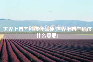 世界上有三种孩什么梗(世界上有三种孩什么意思)