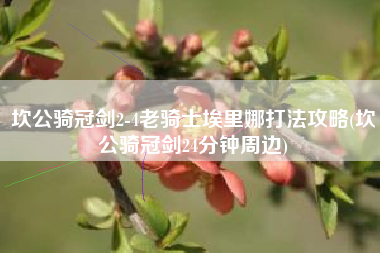 坎公骑冠剑2-4老骑士埃里娜打法攻略(坎公骑冠剑24分钟周边)