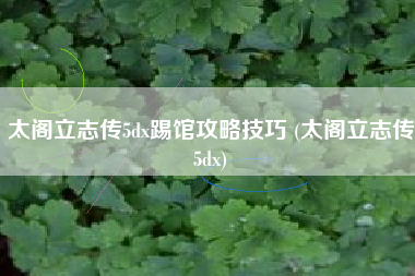 太阁立志传5dx踢馆攻略技巧 (太阁立志传5dx)