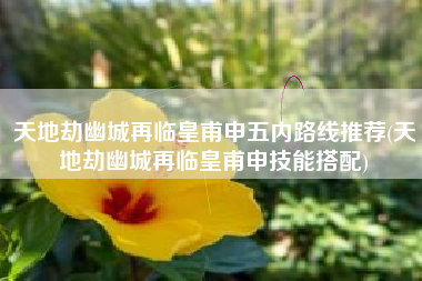 天地劫幽城再临皇甫申五内路线推荐(天地劫幽城再临皇甫申技能搭配)