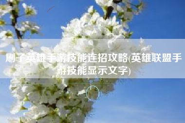 刷子英雄手游技能连招攻略(英雄联盟手游技能显示文字)