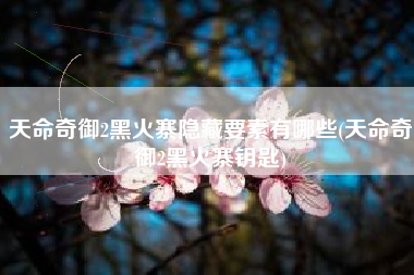天命奇御2黑火寨隐藏要素有哪些(天命奇御2黑火寨钥匙)