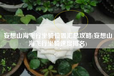 妄想山海飞行坐骑位置汇总攻略(妄想山海飞行坐骑速度排名)
