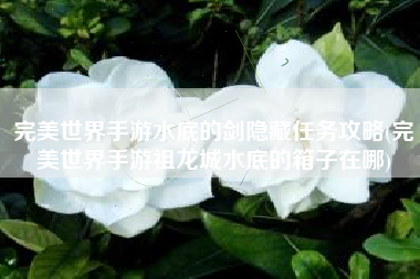 完美世界手游水底的剑隐藏任务攻略(完美世界手游祖龙城水底的箱子在哪)
