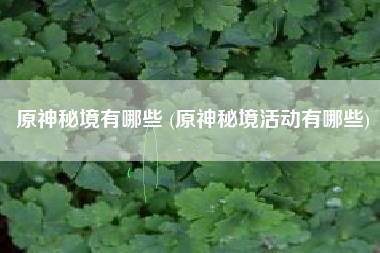 原神秘境有哪些 (原神秘境活动有哪些)