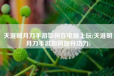 天涯明月刀手游如何在电脑上玩(天涯明月刀手游如何提升功力)