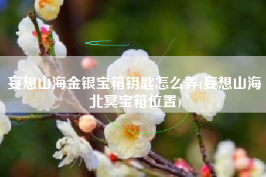 妄想山海金银宝箱钥匙怎么弄(妄想山海北冥宝箱位置)
