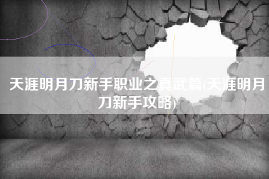 天涯明月刀新手职业之真武篇(天涯明月刀新手攻略)