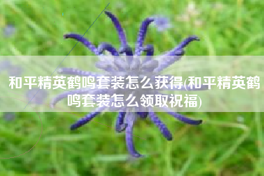 和平精英鹤鸣套装怎么获得(和平精英鹤鸣套装怎么领取祝福)