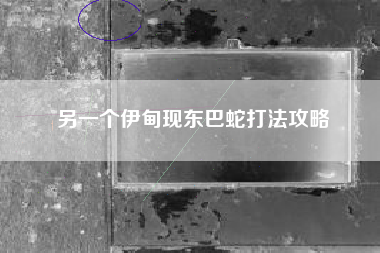 另一个伊甸现东巴蛇打法攻略