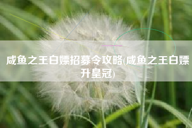 咸鱼之王白嫖招募令攻略(咸鱼之王白嫖升皇冠)