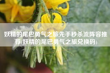 妖精的尾巴勇气之旅先手秒杀流阵容推荐(妖精的尾巴勇气之旅兑换码)