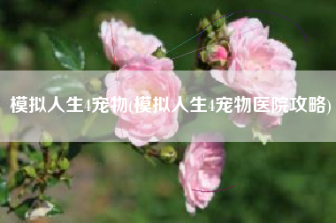 模拟人生4宠物(模拟人生4宠物医院攻略)